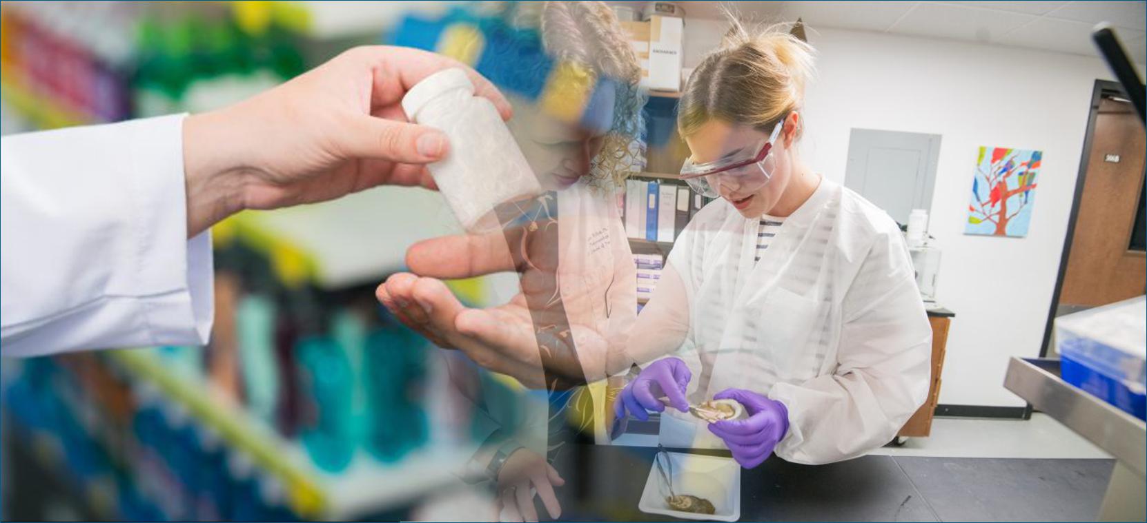 express scripts cialis price